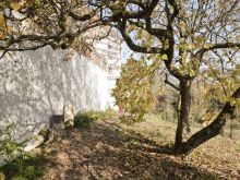 Schloss Wildenstein 030